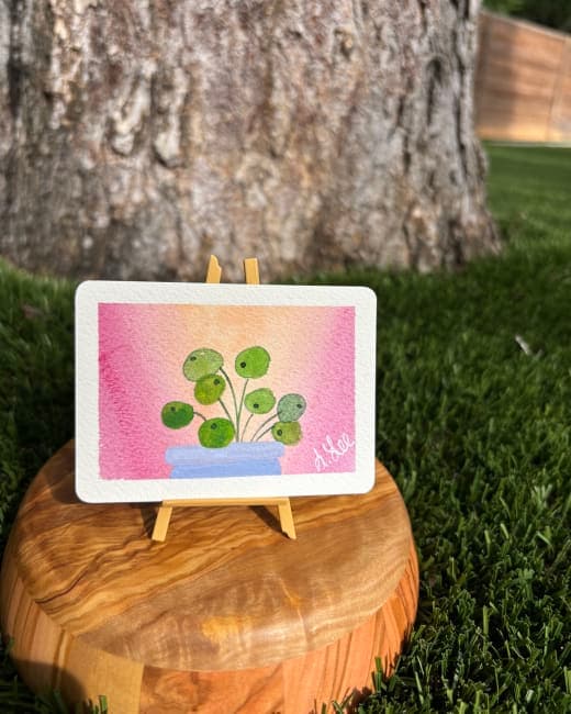 Pilea