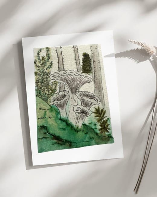 Forest Mushrooms #1
