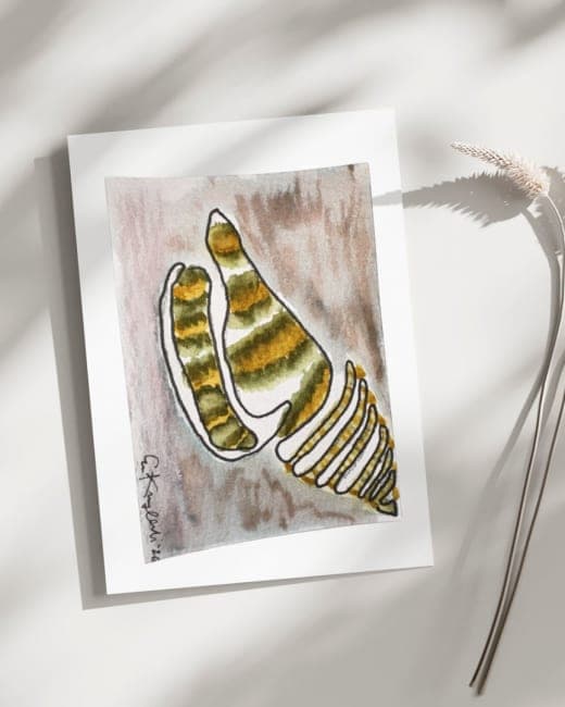 Tiger Striped Seashell