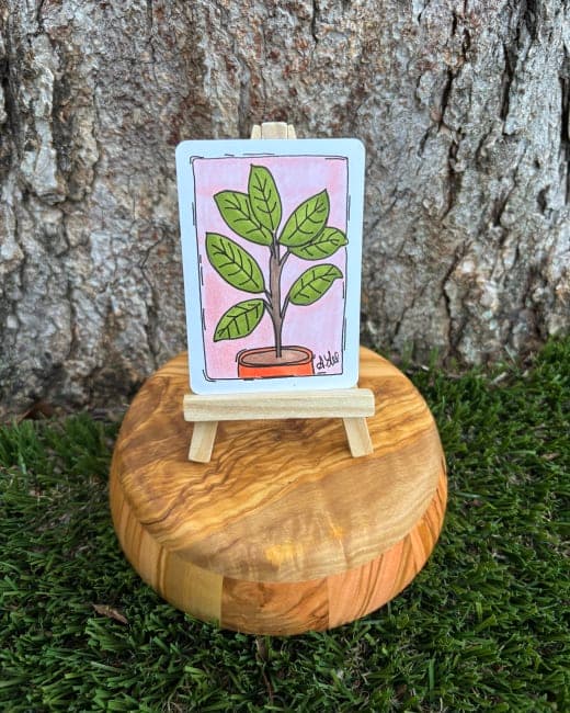 Francesca the Ficus