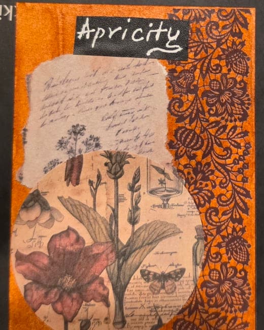 Apricity