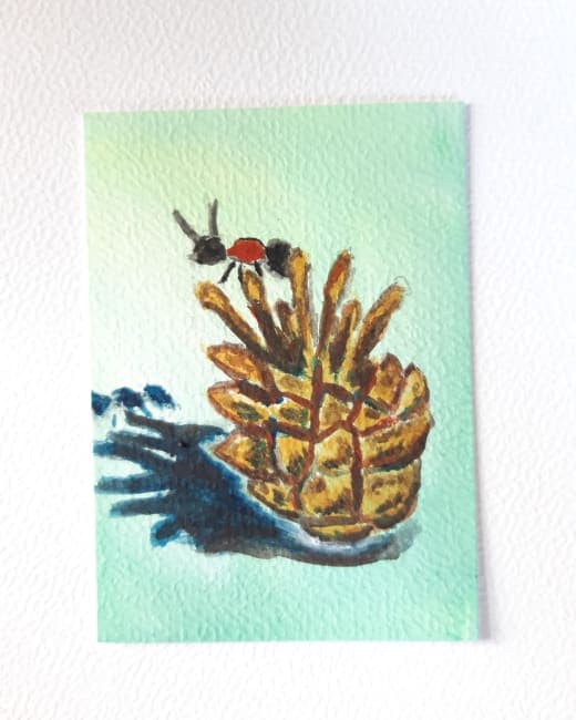 Ant and Pine cone A26209