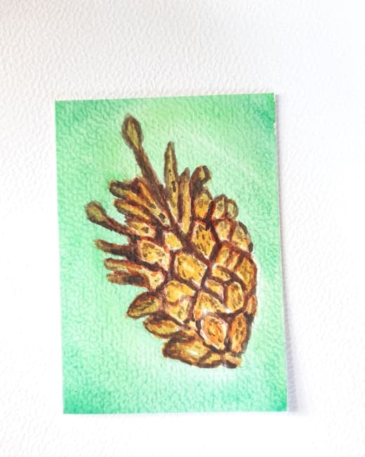 Pinecone