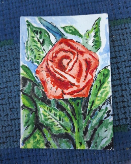 Orange rose