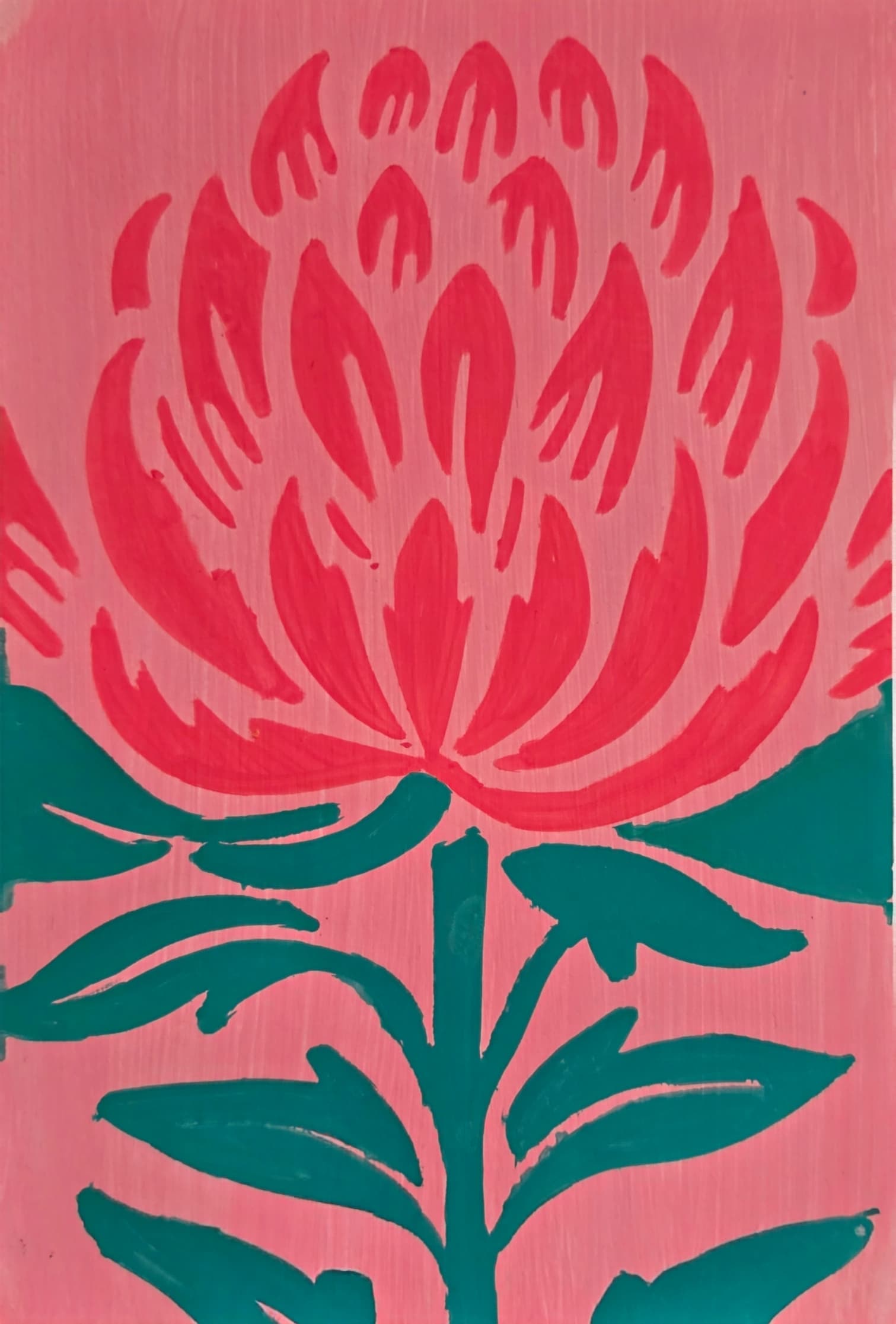 Waratah by TinyJournalJourney